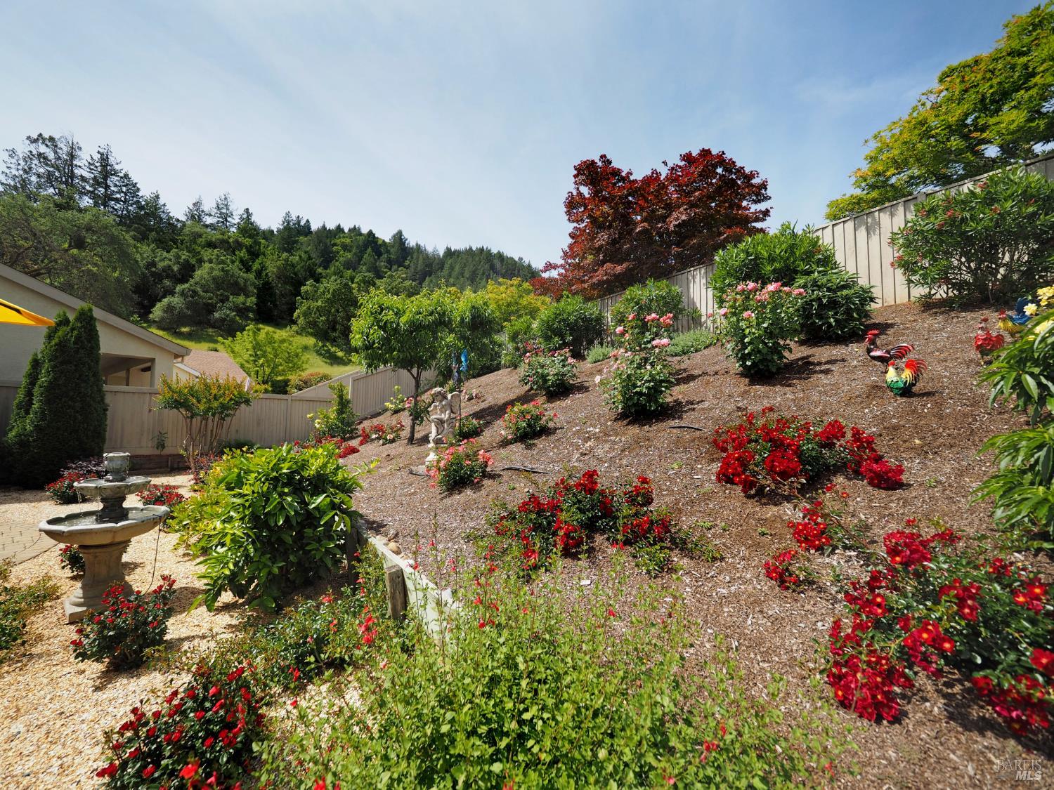 Property photo 40