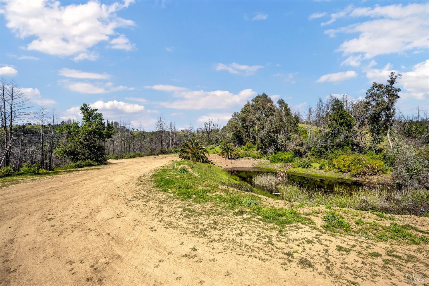 Property photo 19