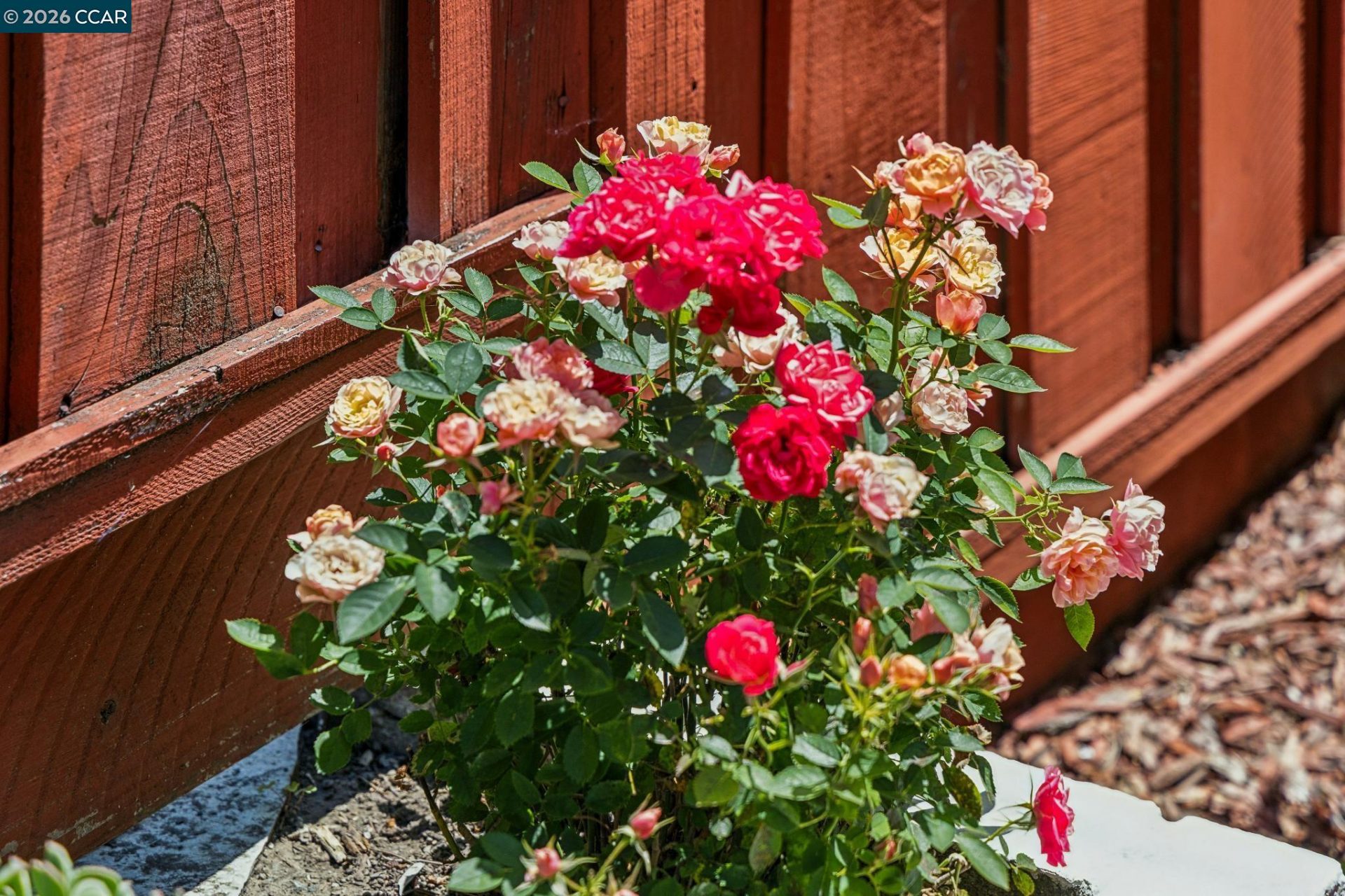 Property photo 21
