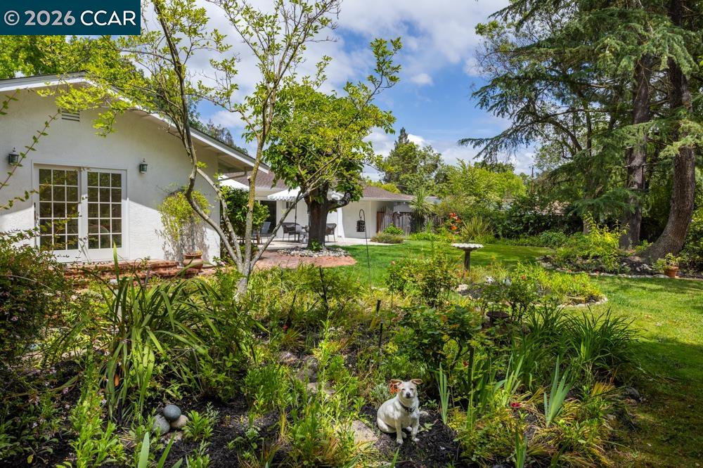 Property photo 31