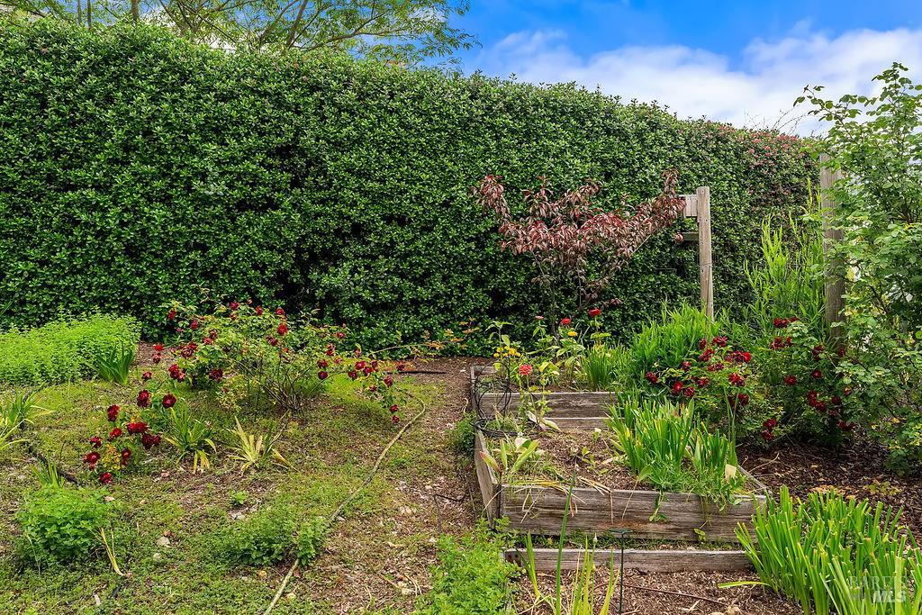 Property photo 20