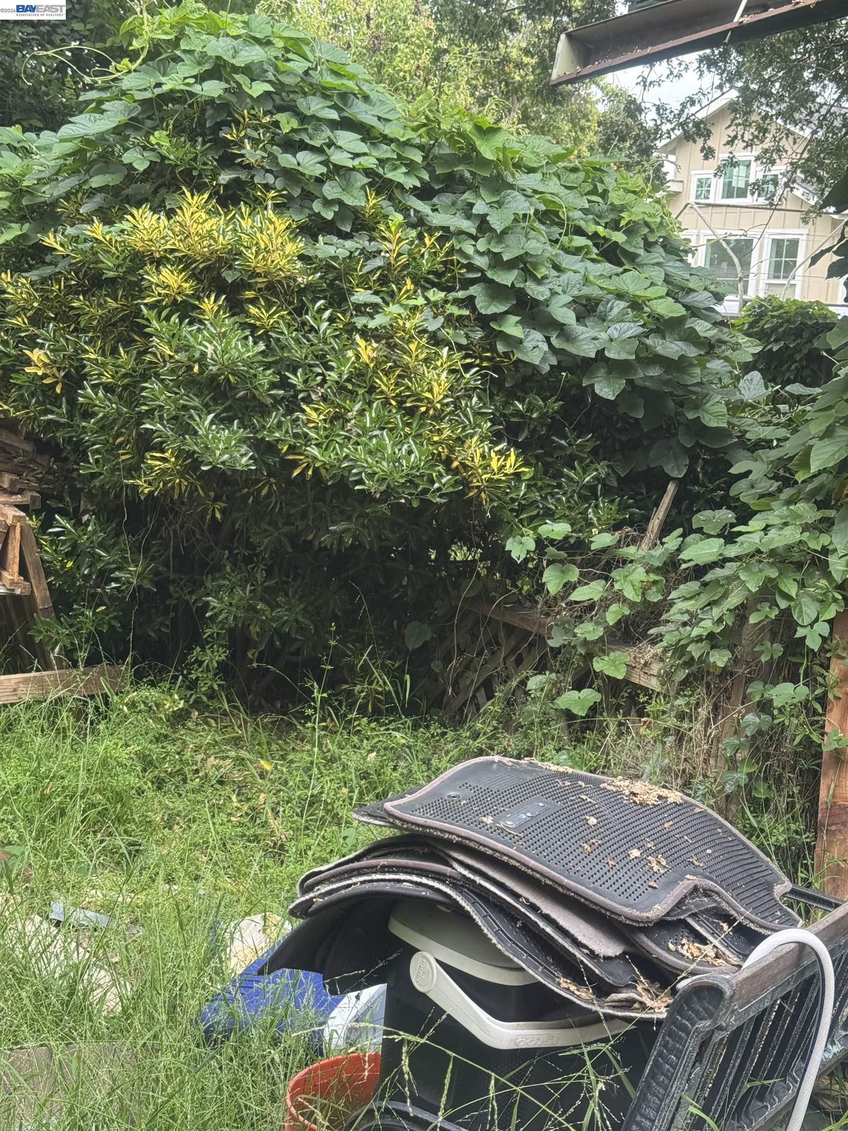 Property photo 31