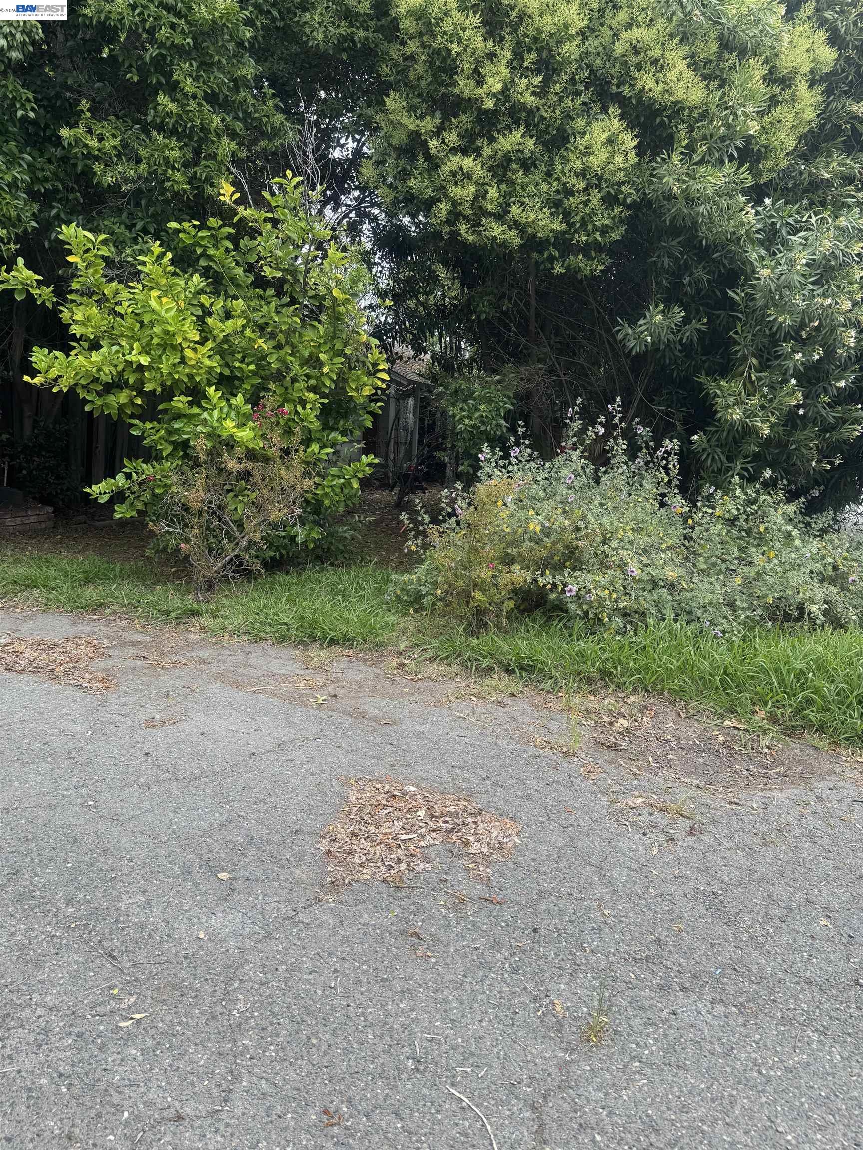 Property photo 38