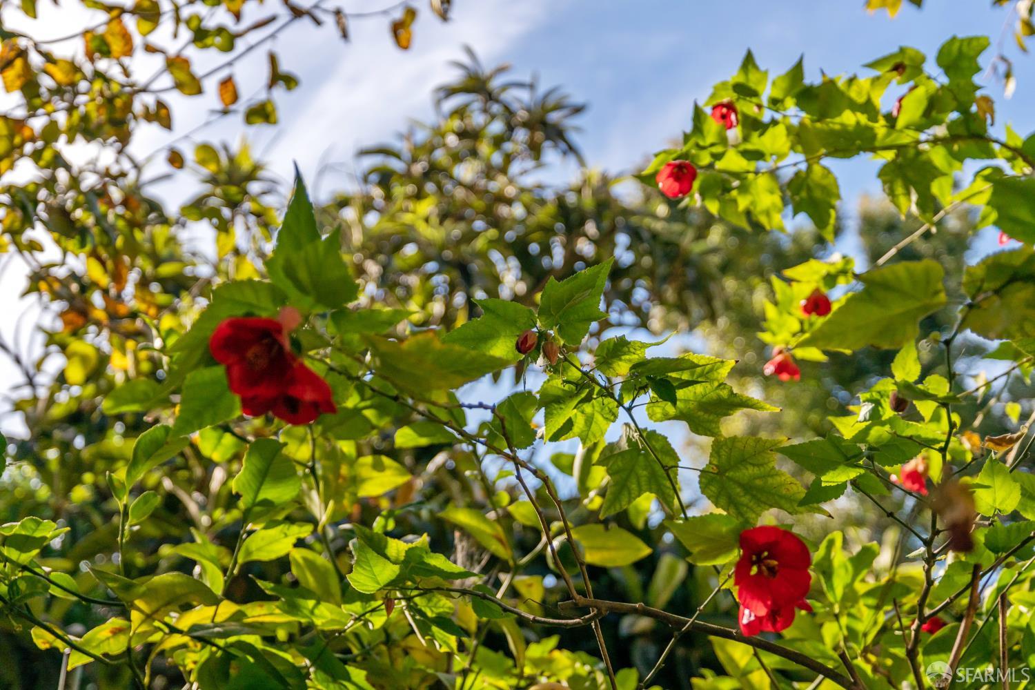 Property photo 35