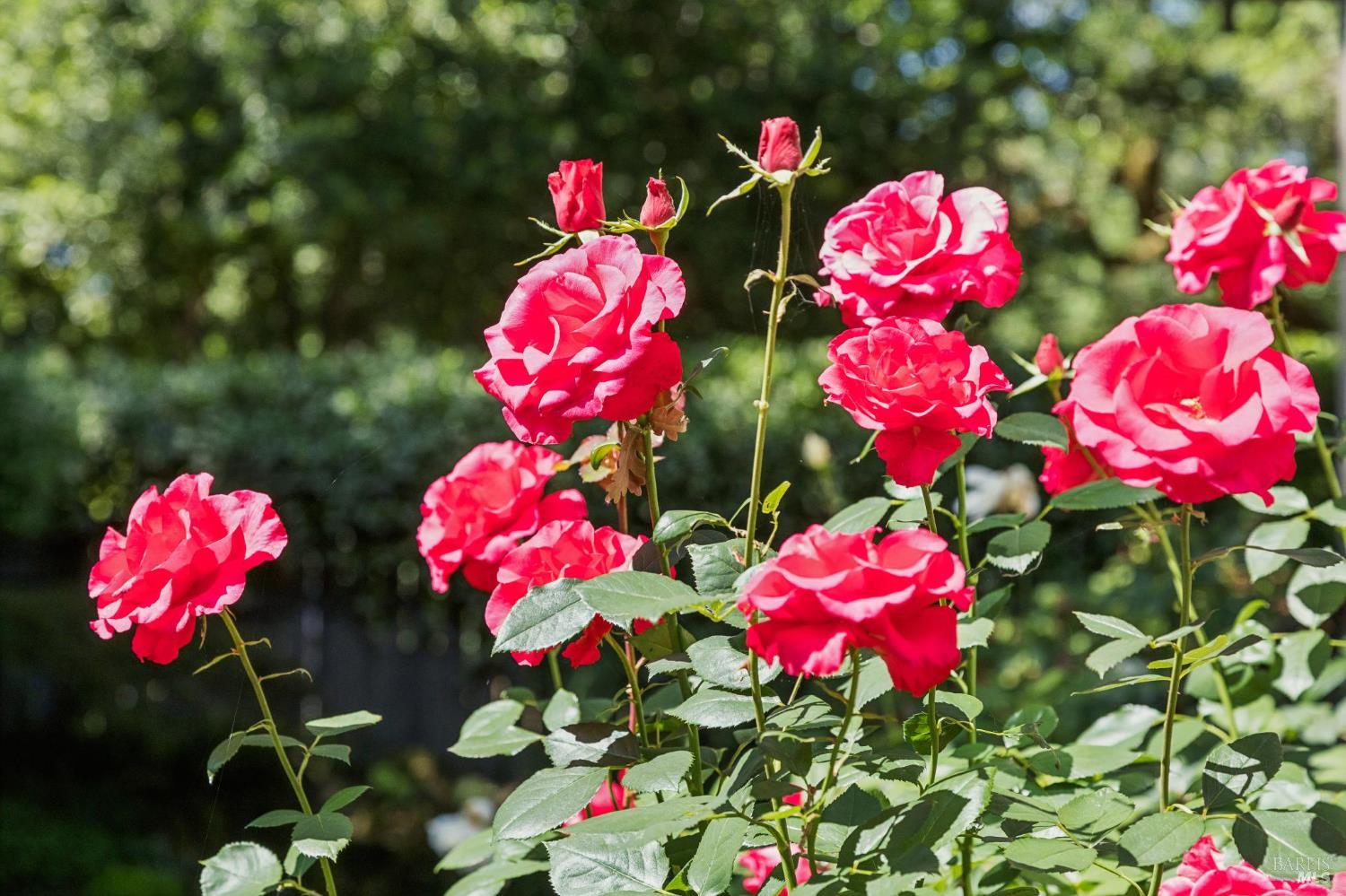 Property photo 30