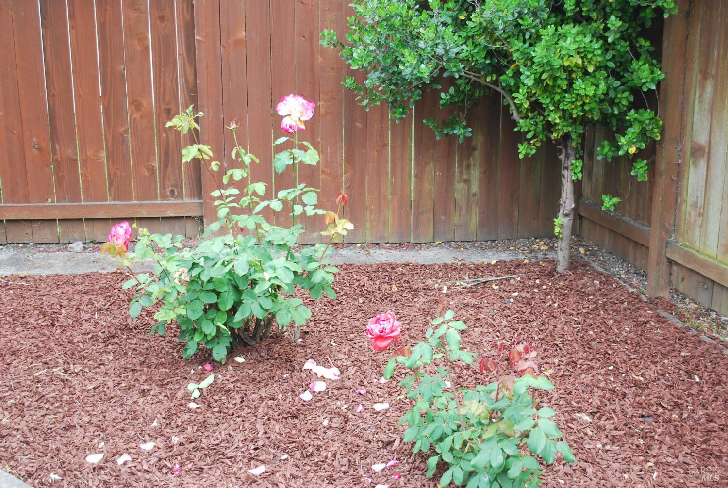 Property photo 42