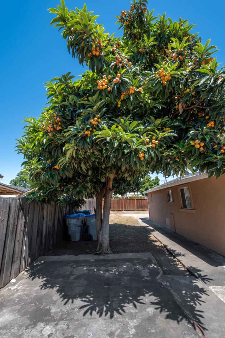 Property photo 41