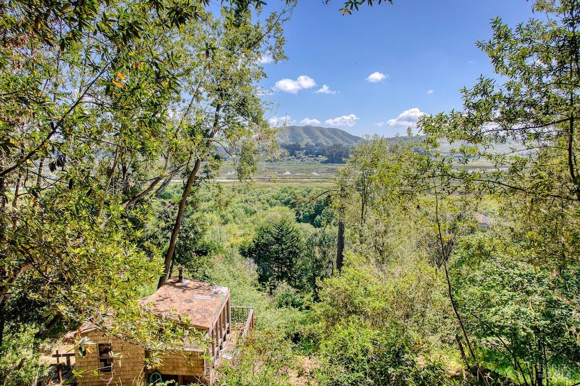 Property photo 50