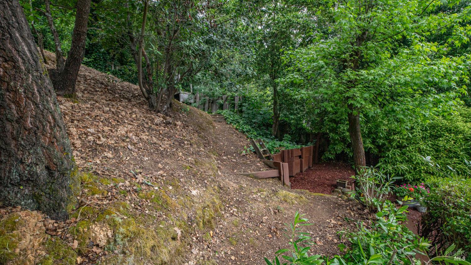 Property photo 50
