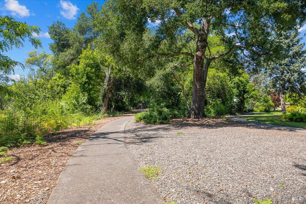 Property photo 40