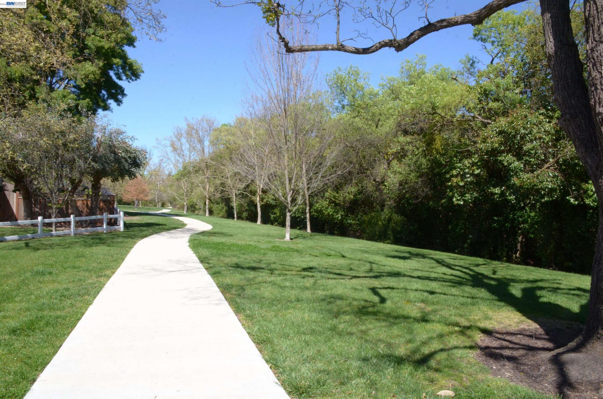 Property photo 49