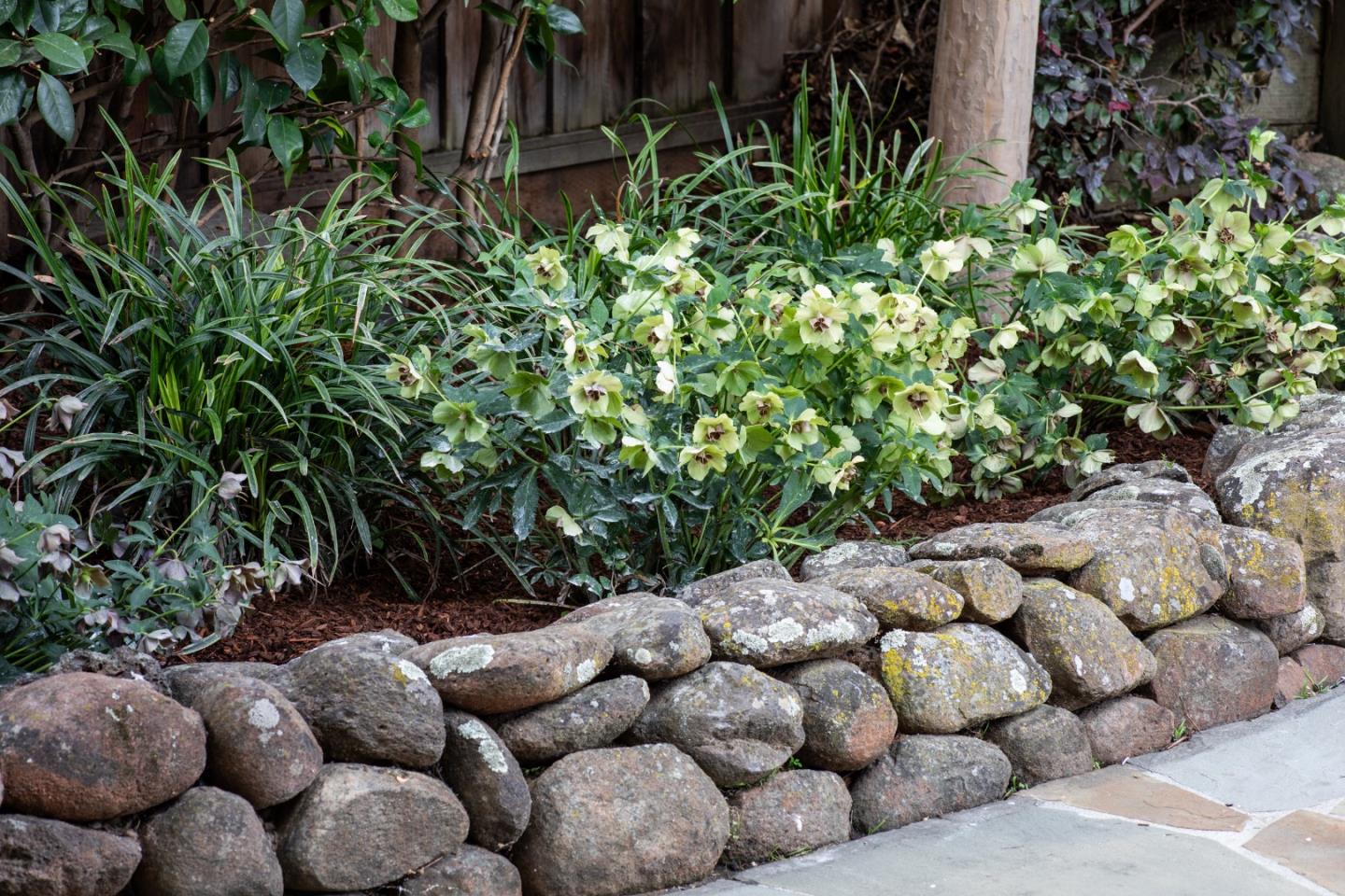 Property photo 40