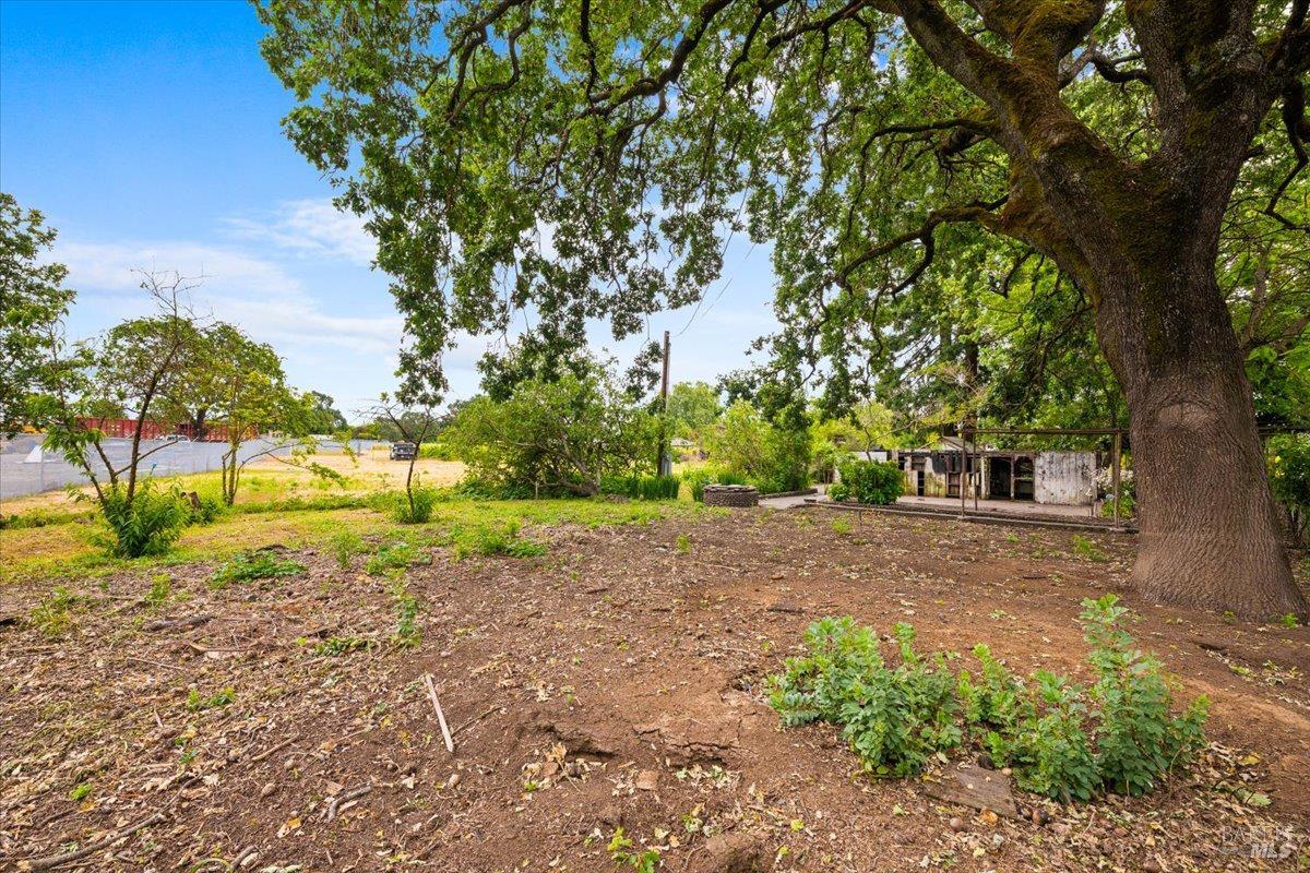Property photo 19