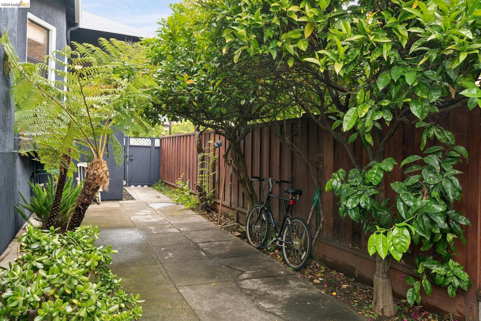 Property photo 50