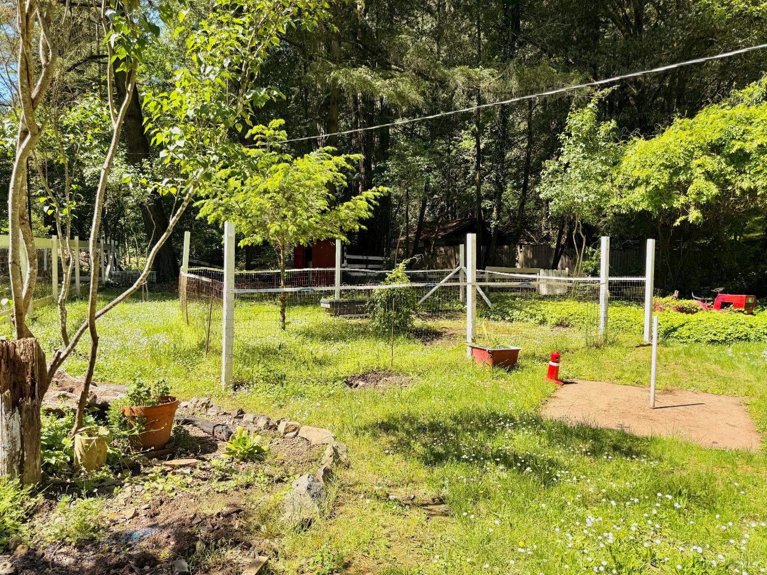 Property photo 44
