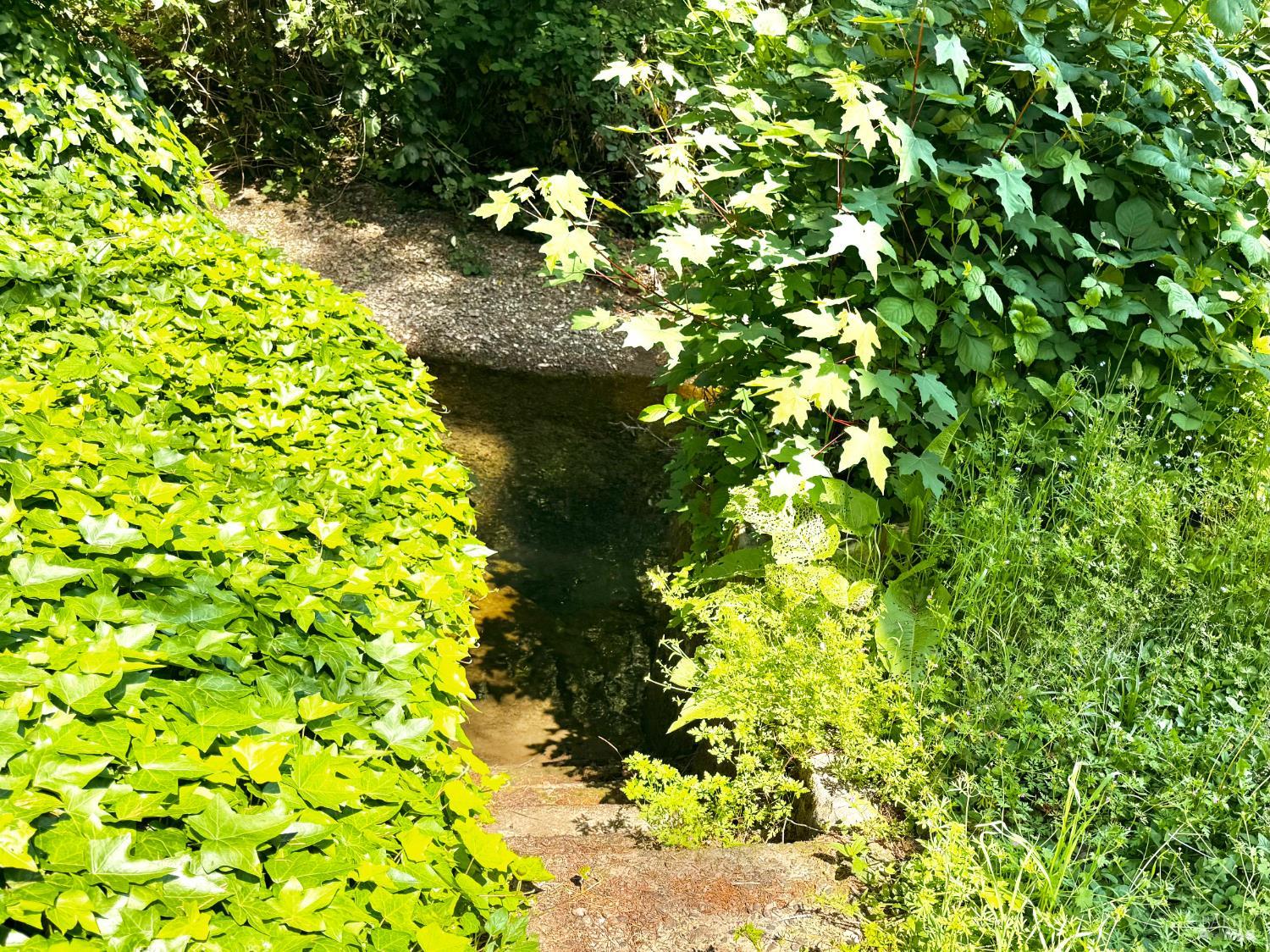 Property photo 47