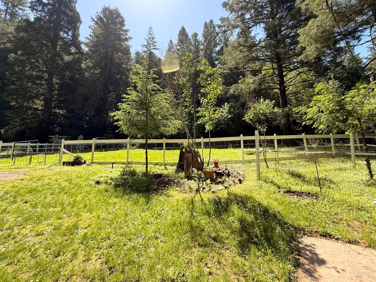 Property photo 48