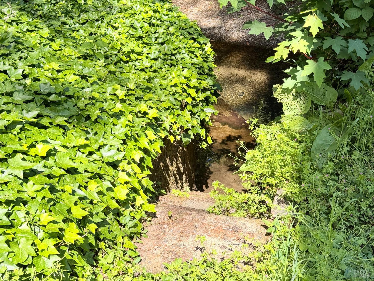 Property photo 49