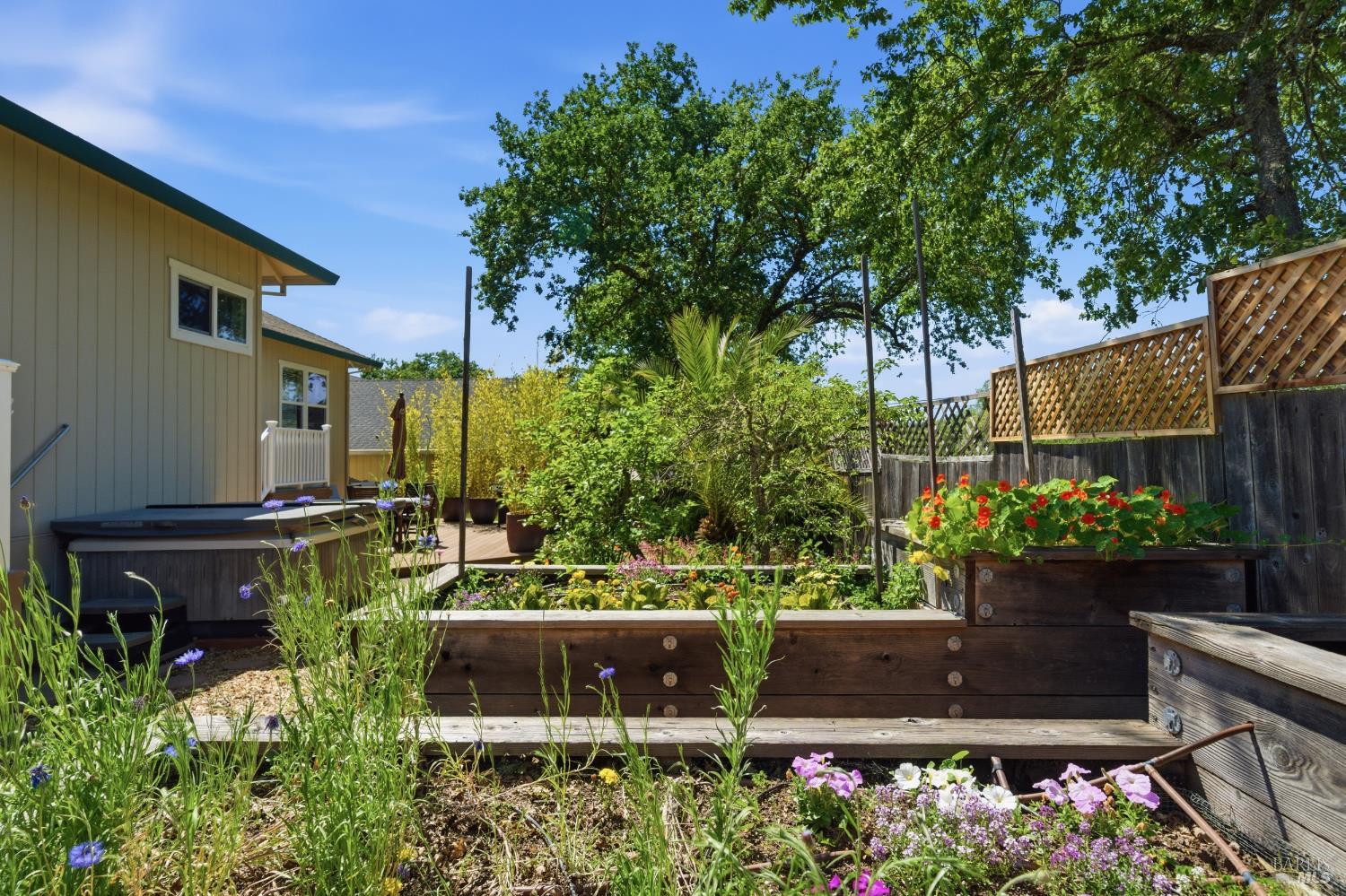 Property photo 51