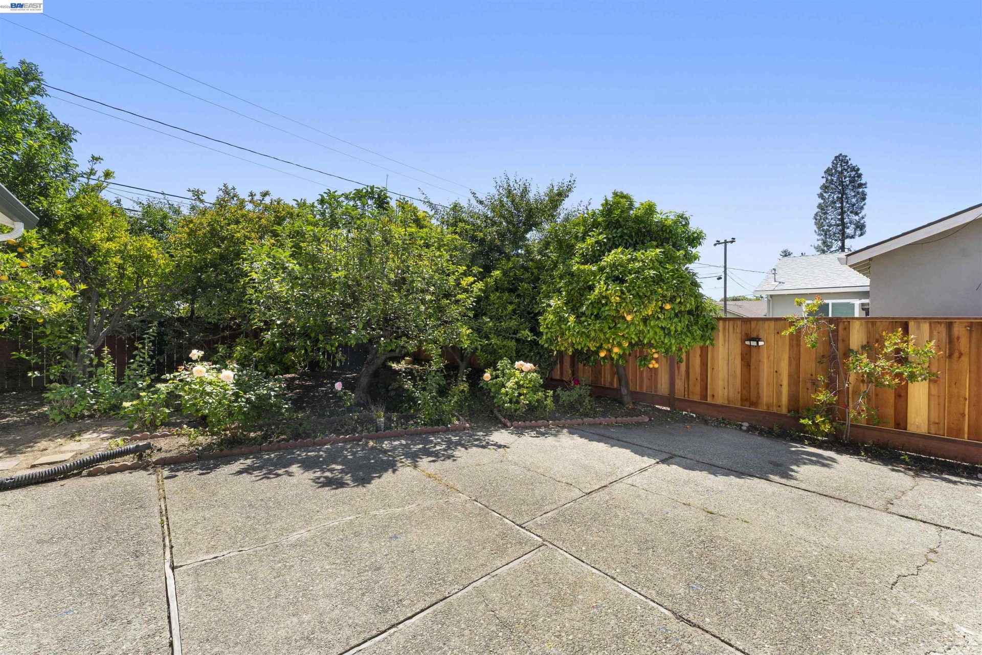 Property photo 50