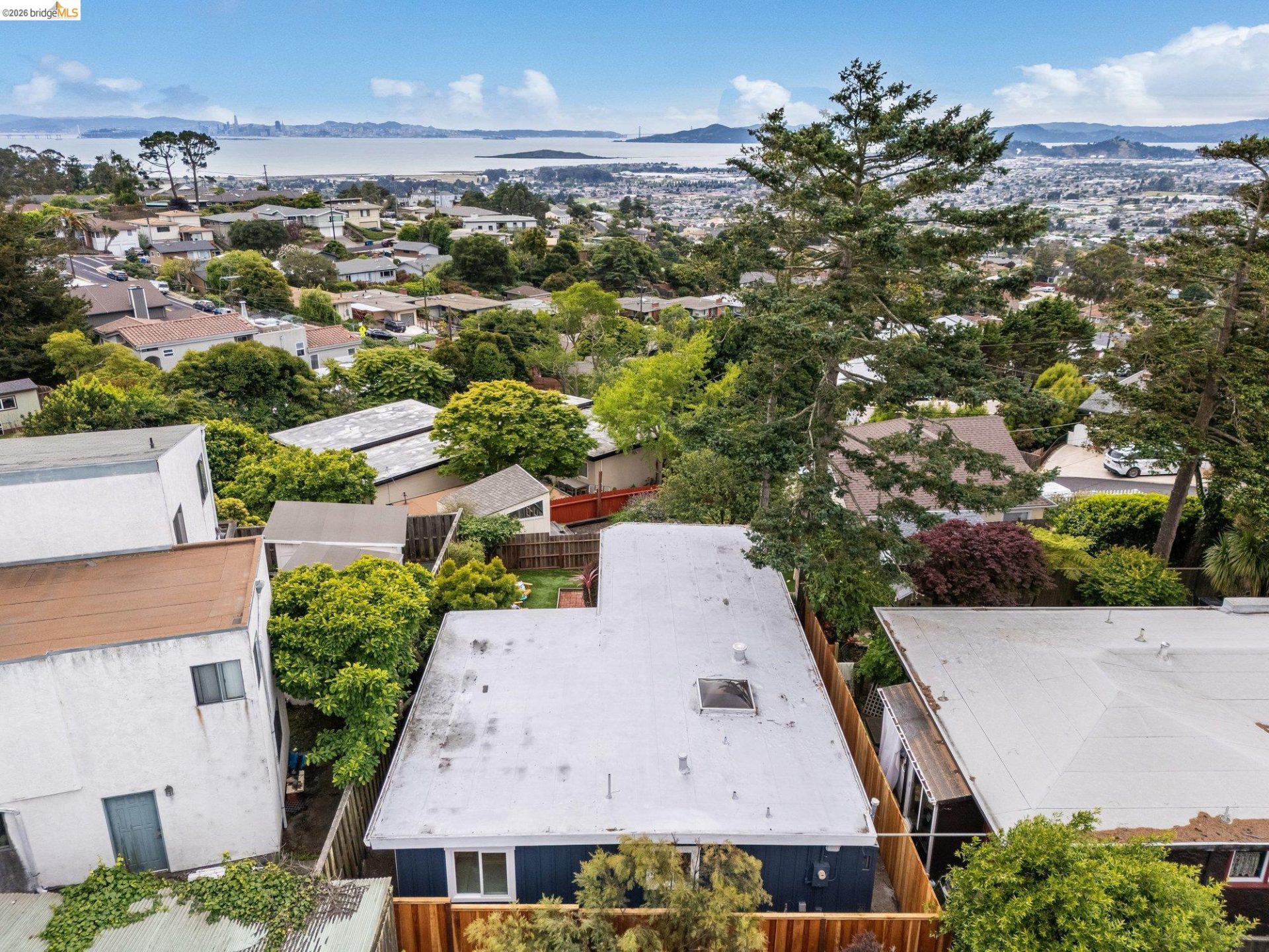 Property photo 41