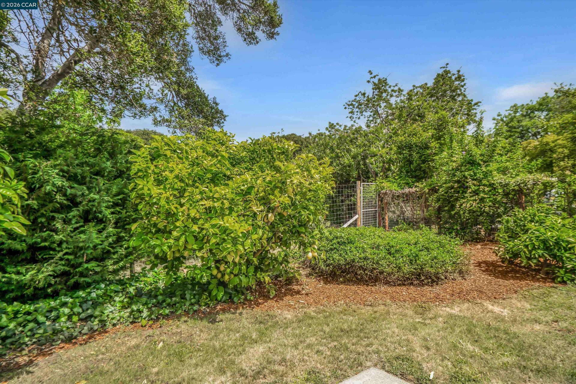 Property photo 41