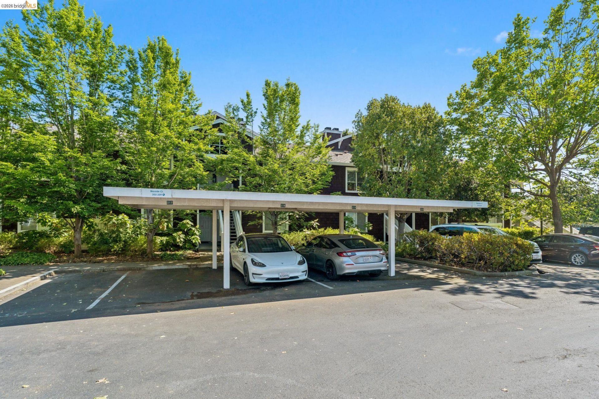 Property photo 41