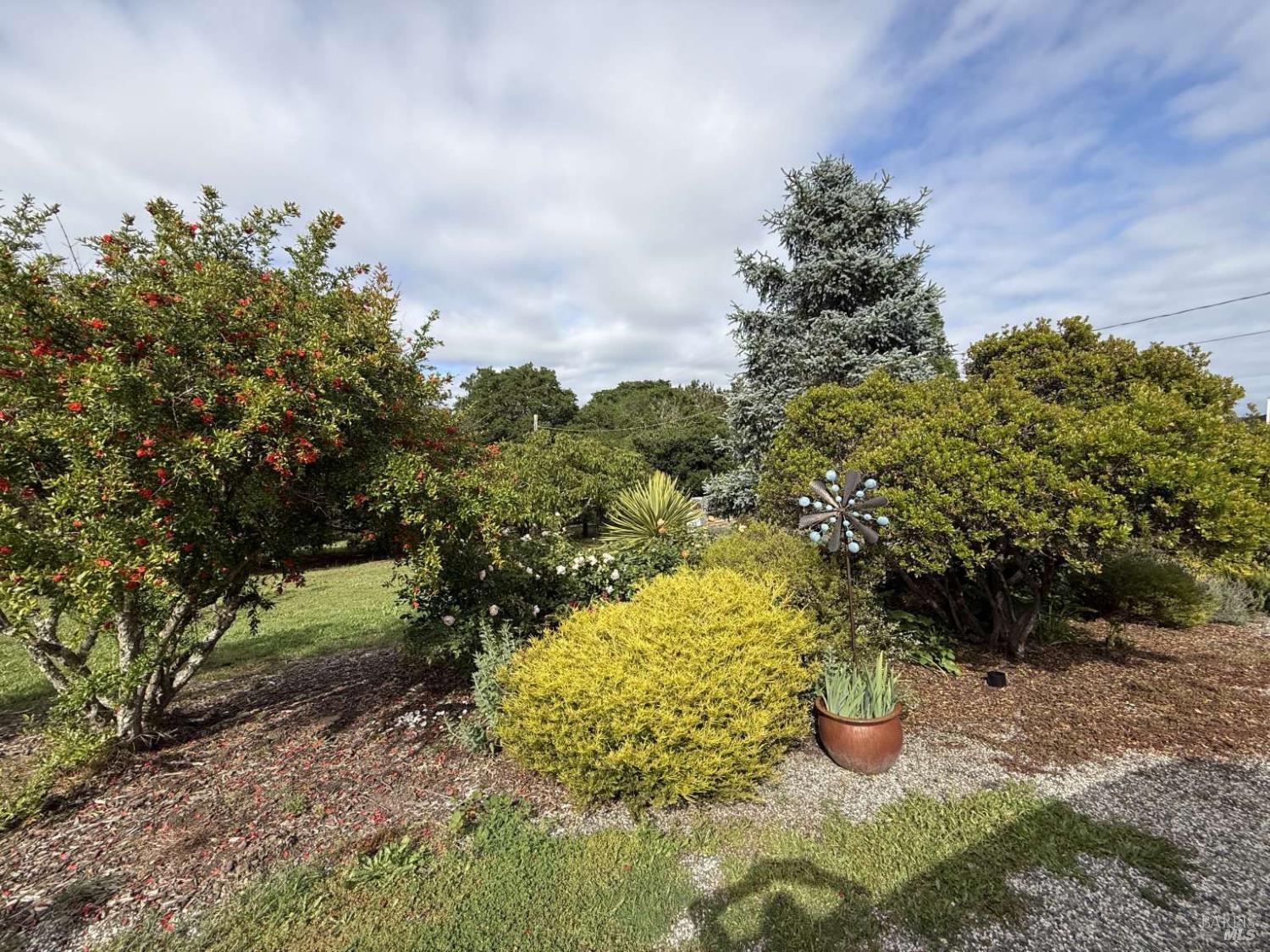 Property photo 44