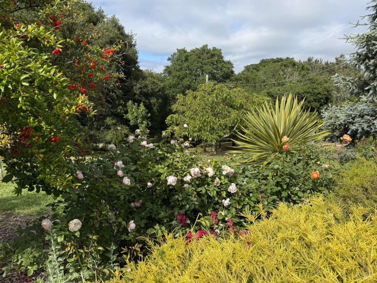 Property photo 45