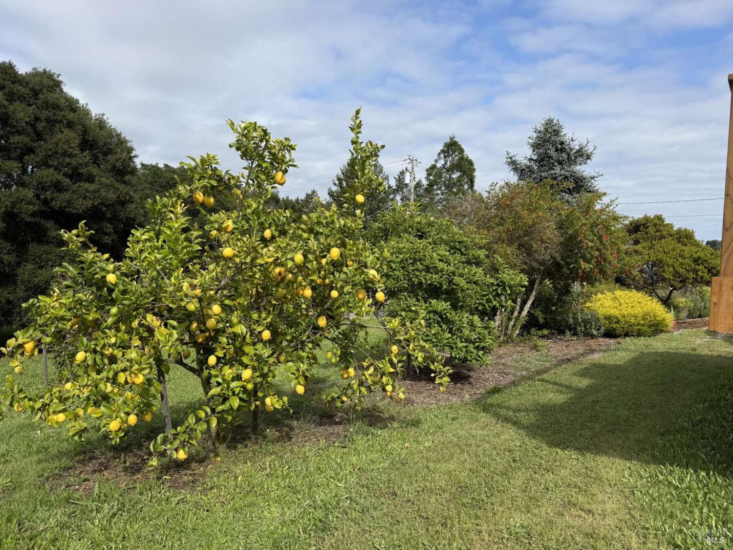 Property photo 46