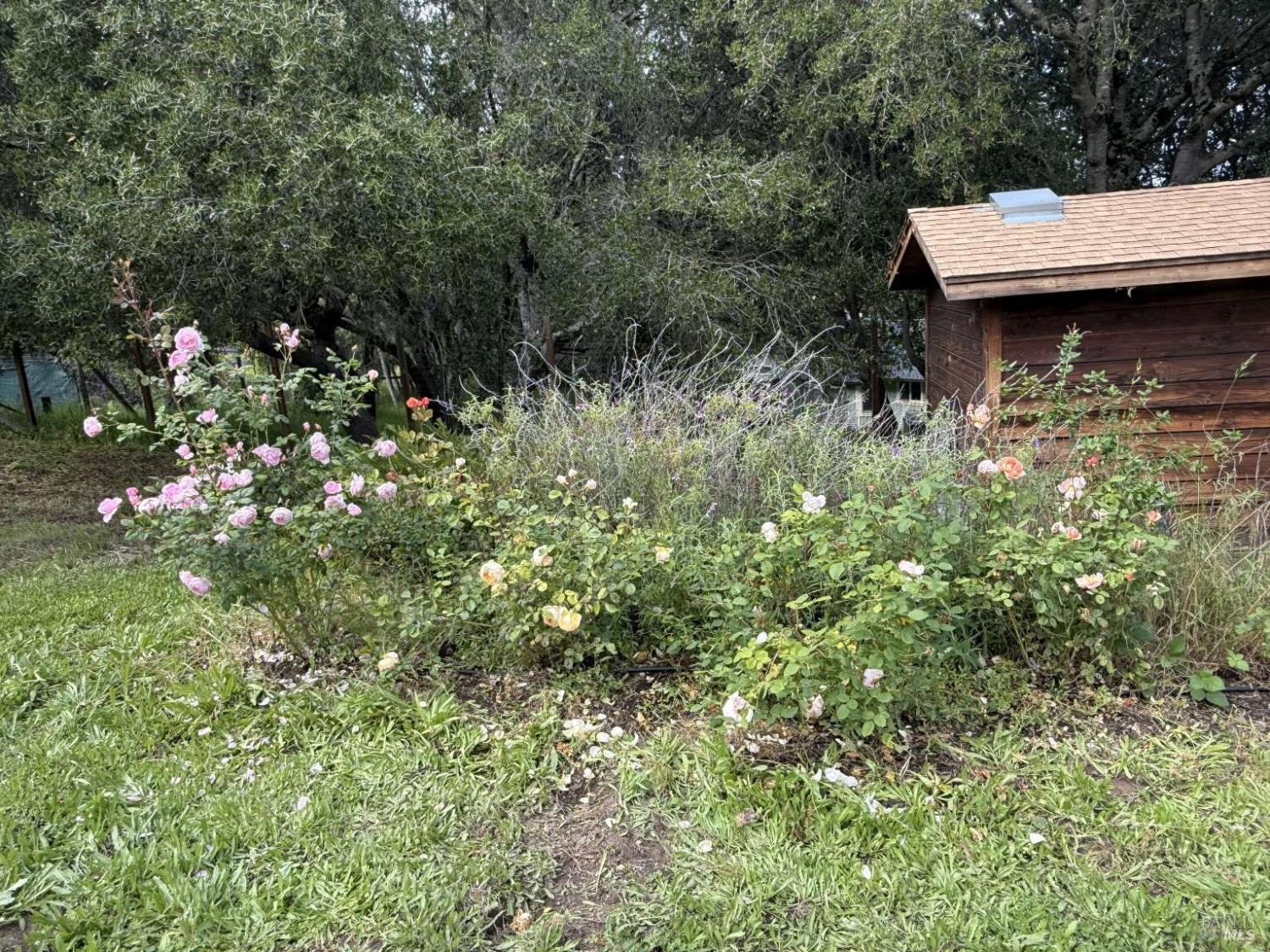 Property photo 47