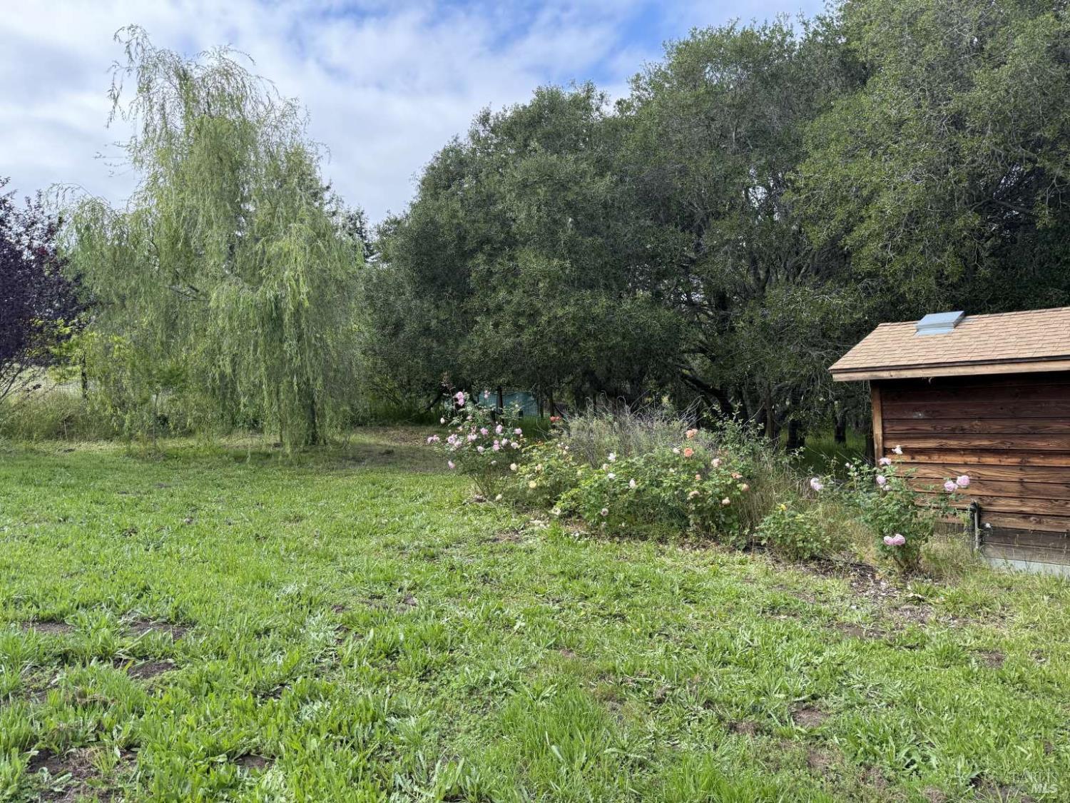Property photo 48