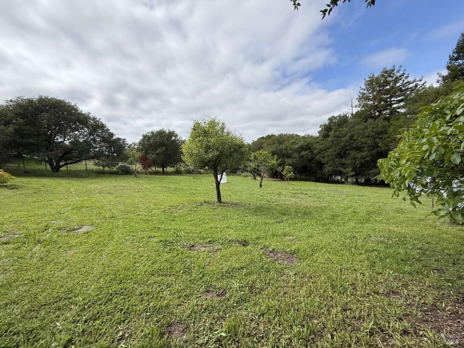 Property photo 51
