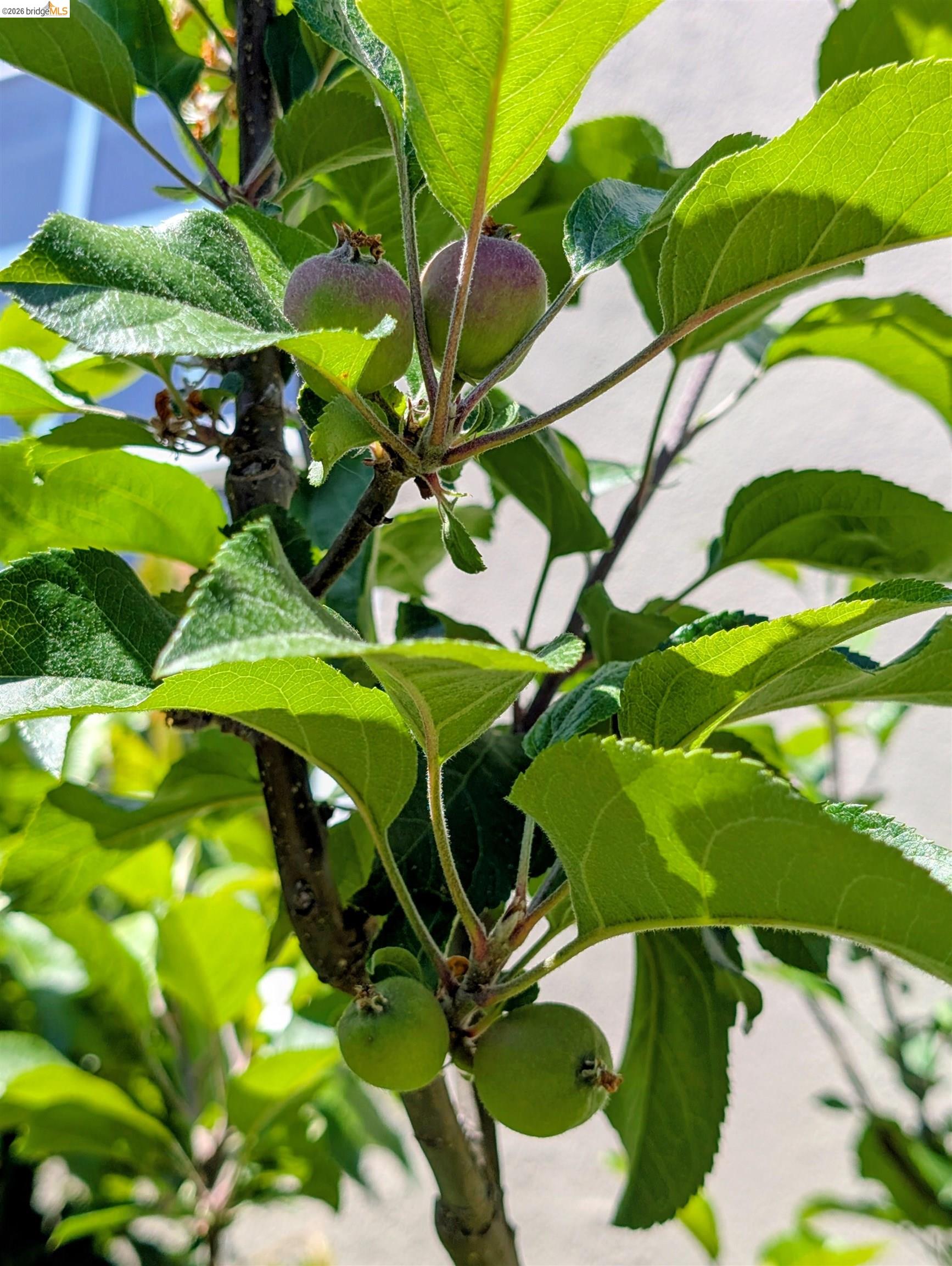 Property photo 41