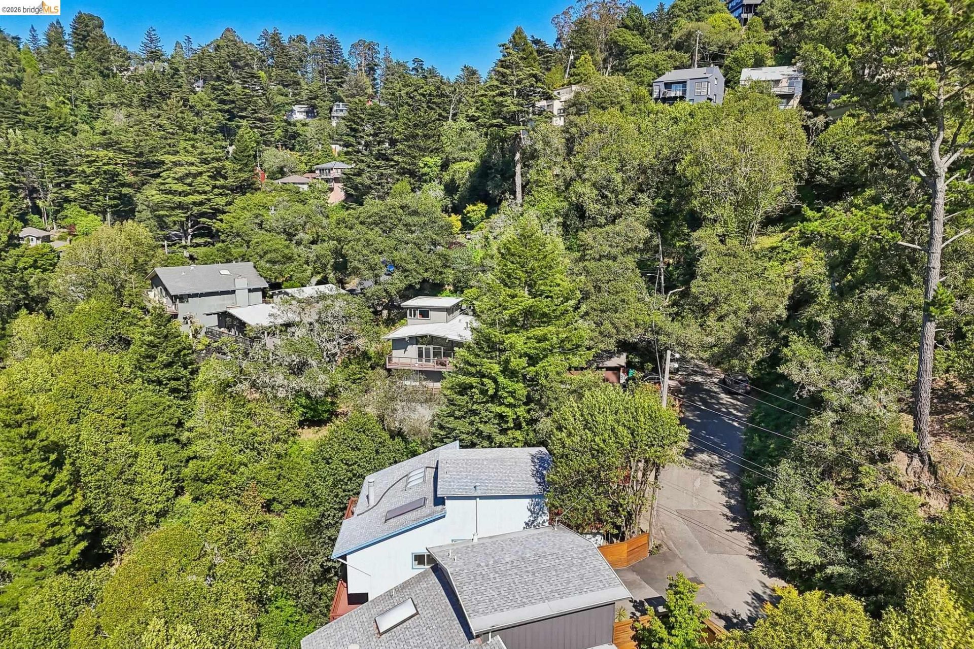 Property photo 49