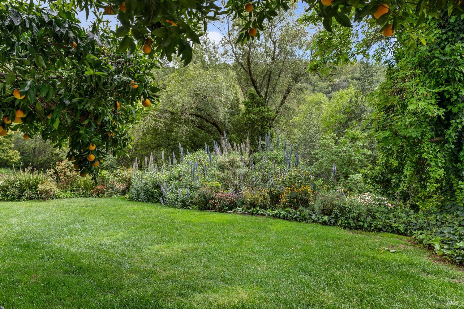 Property photo 47