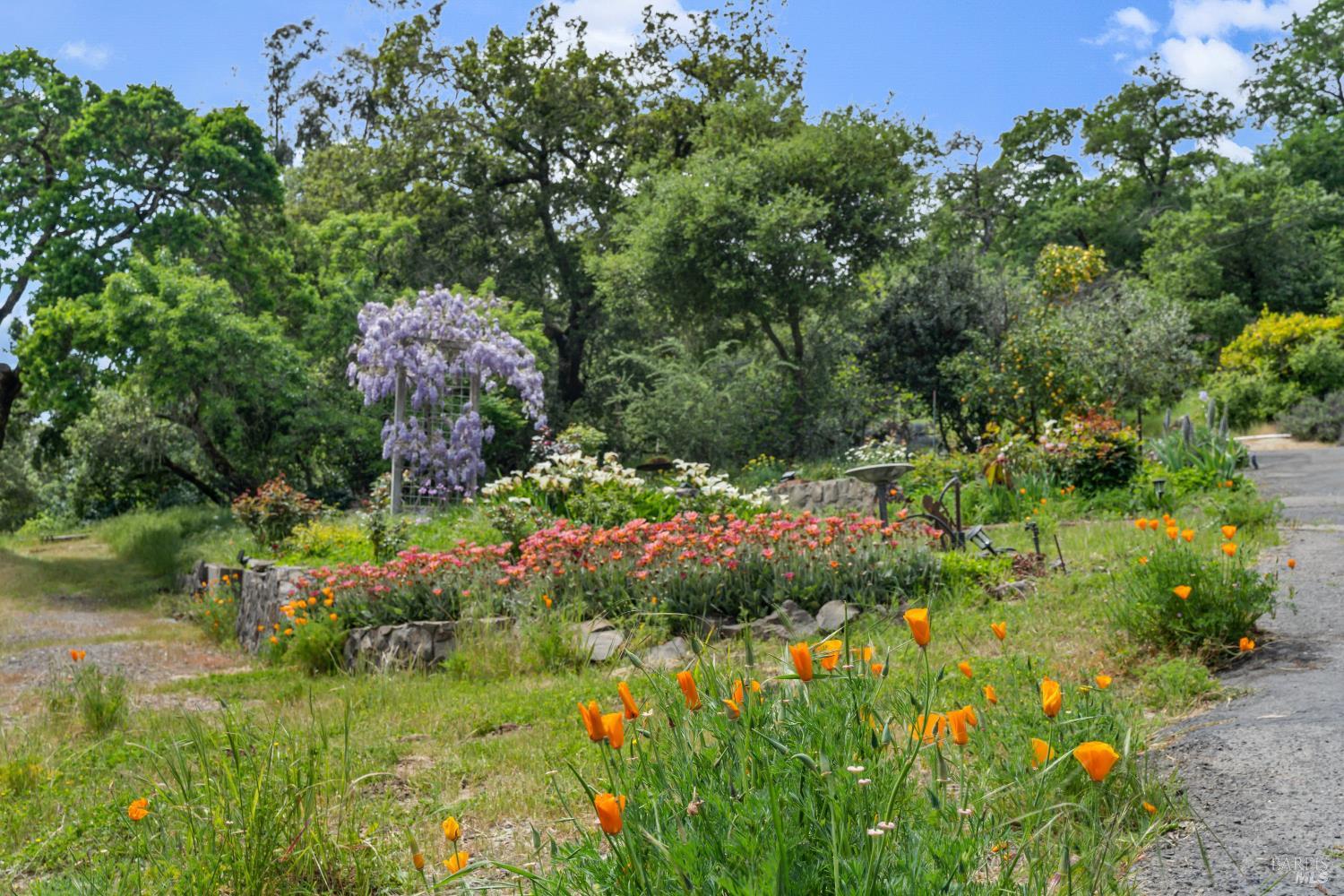 Property photo 48