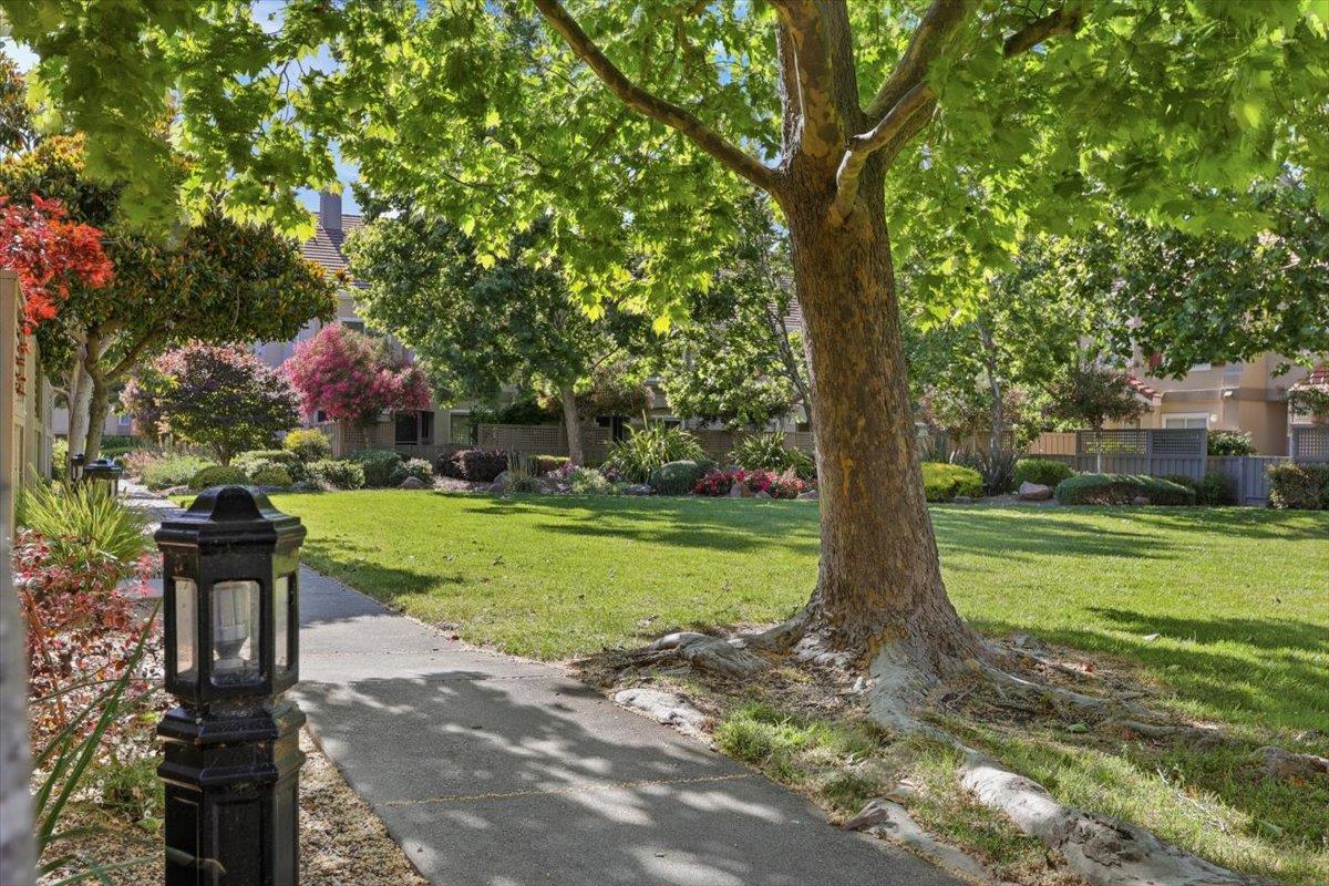 Property photo 46