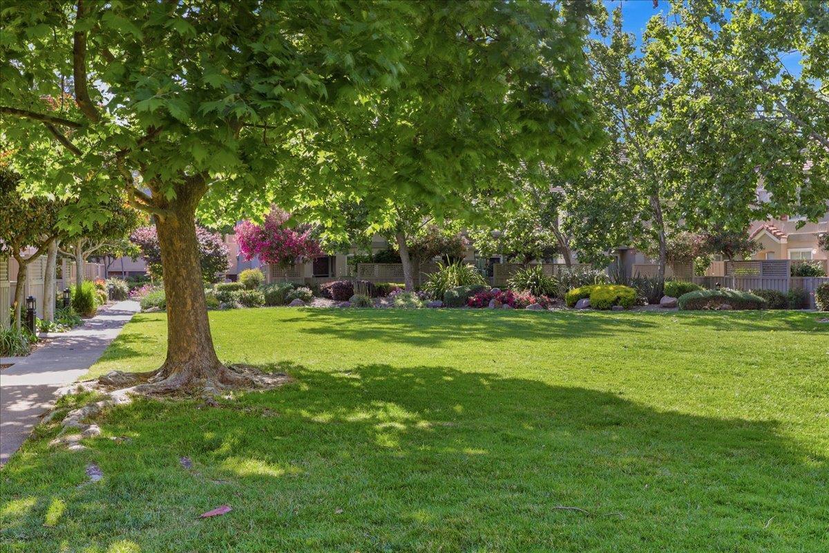 Property photo 48