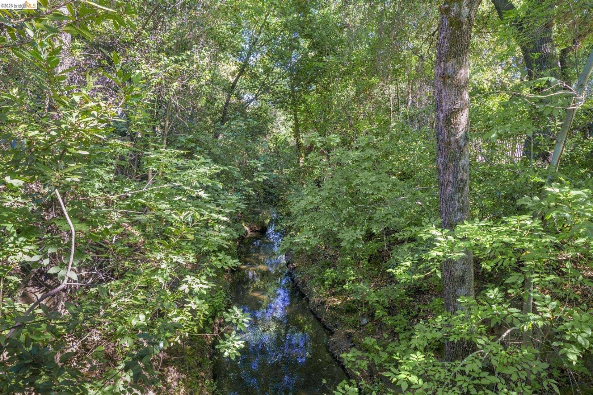 Property photo 47