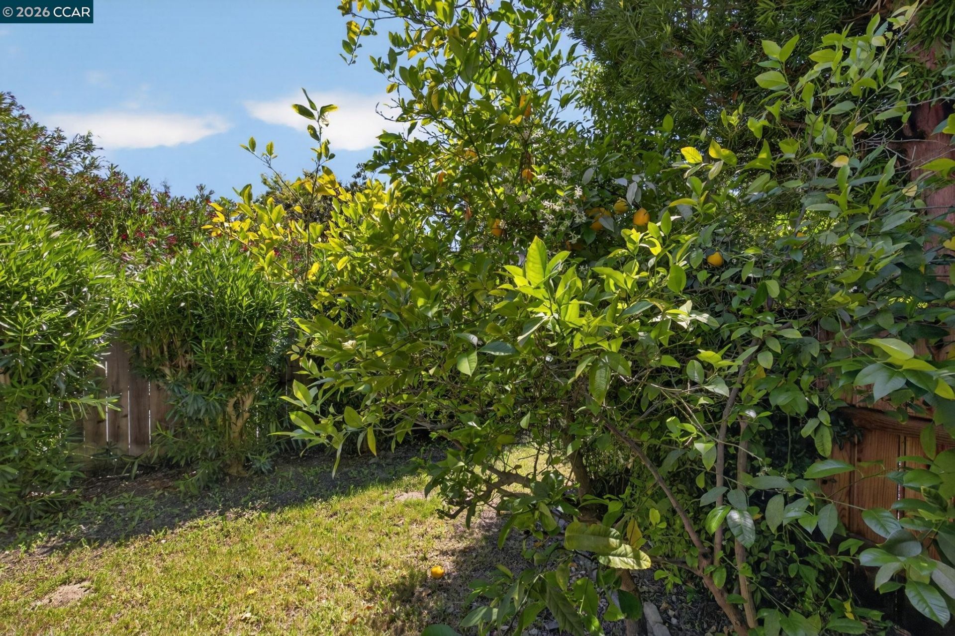 Property photo 35