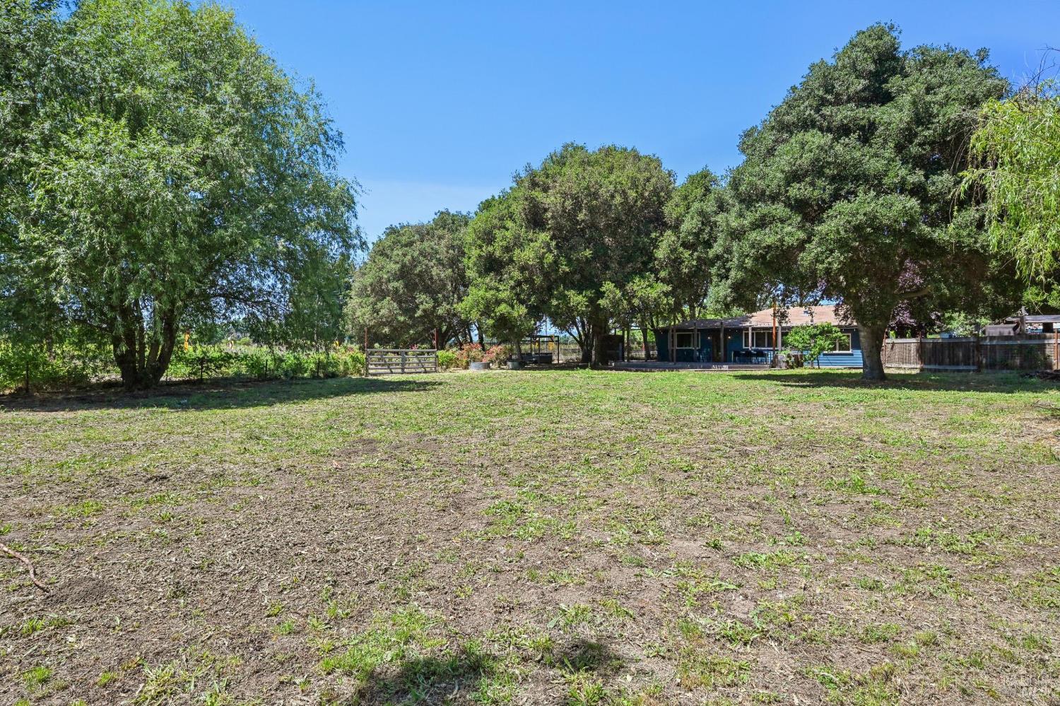 Property photo 46