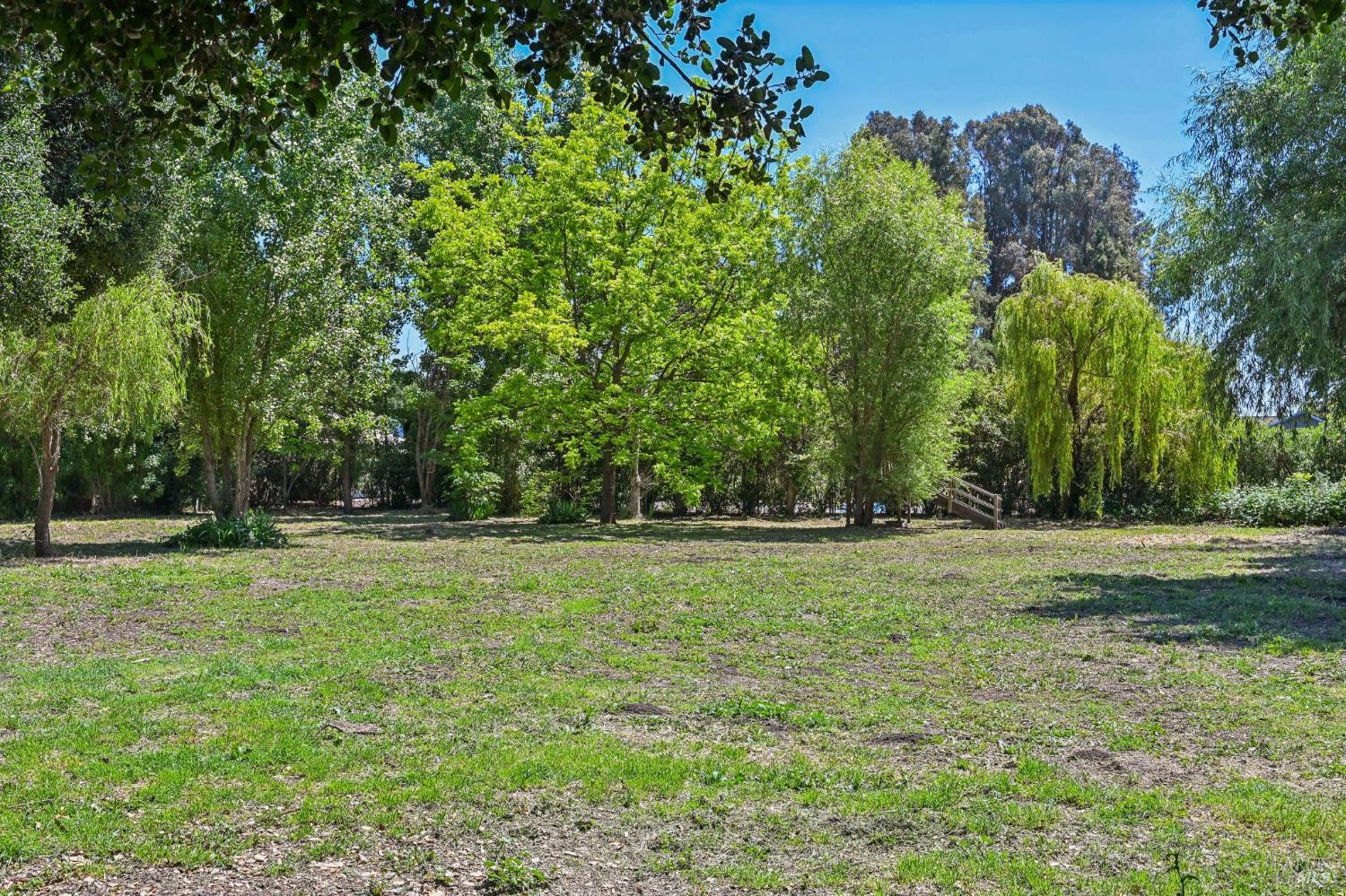 Property photo 49