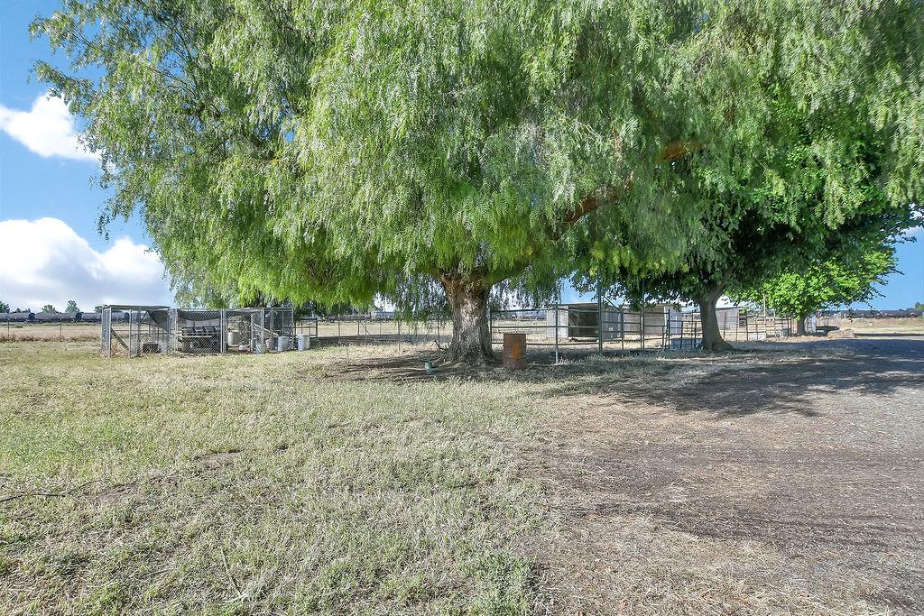 Property photo 51