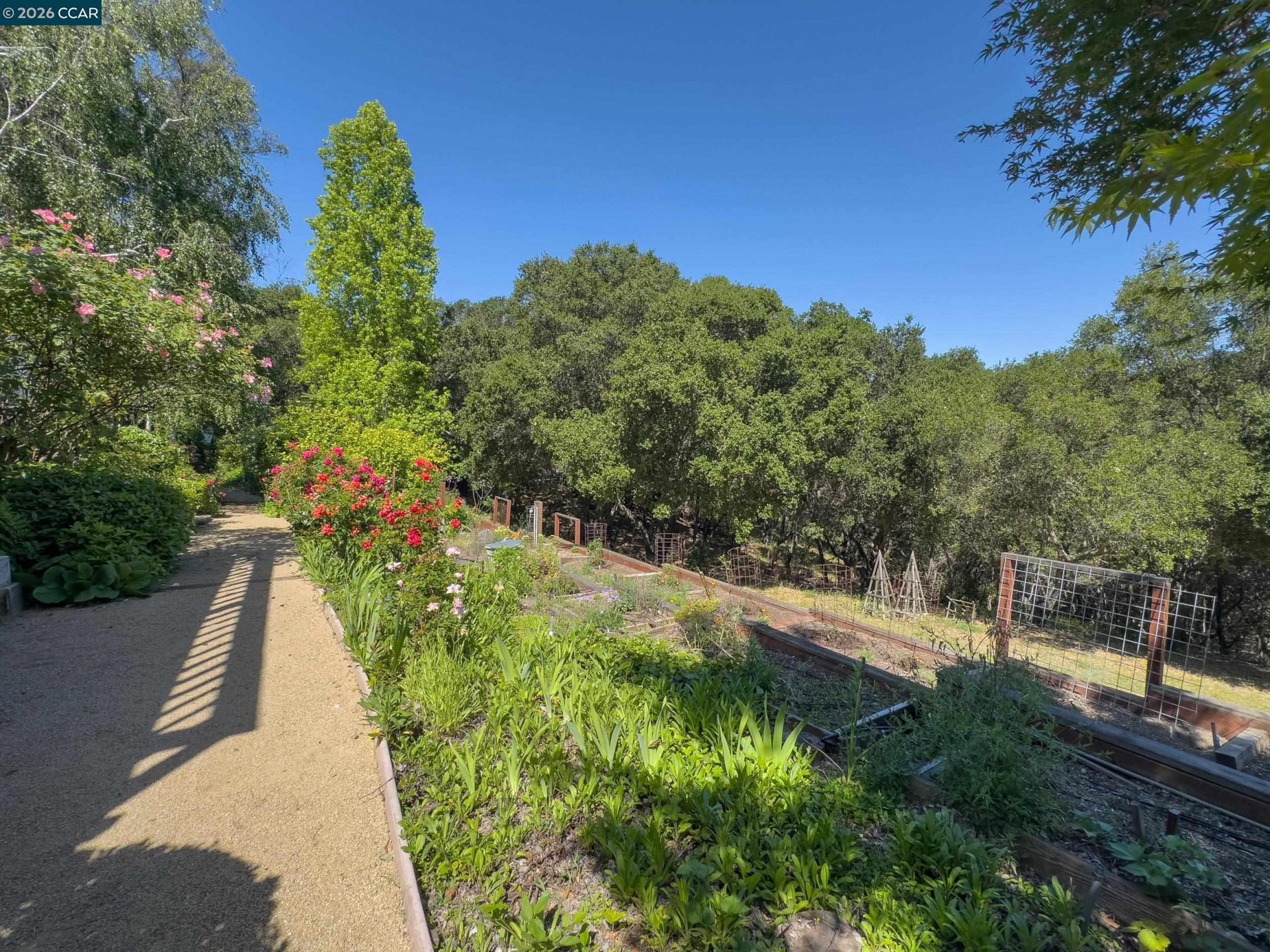 Property photo 46