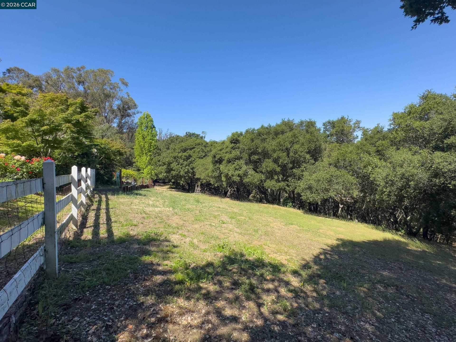 Property photo 49