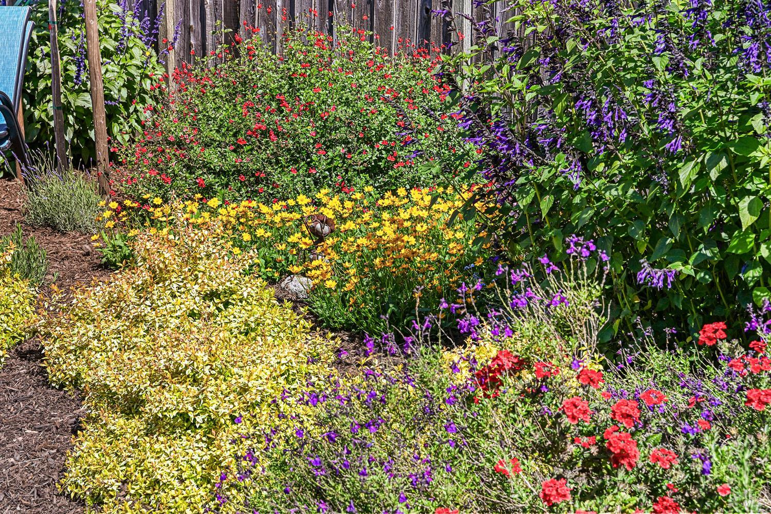 Property photo 44