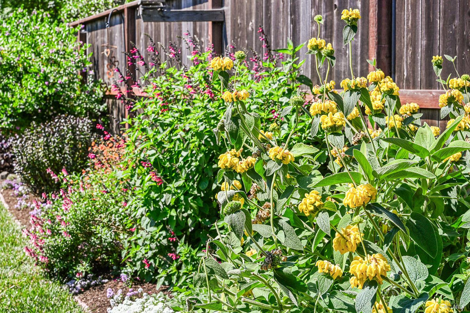 Property photo 45