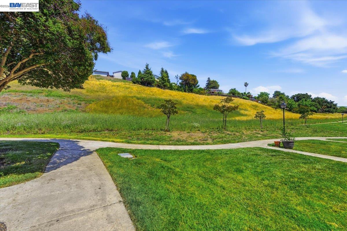 Property photo 51