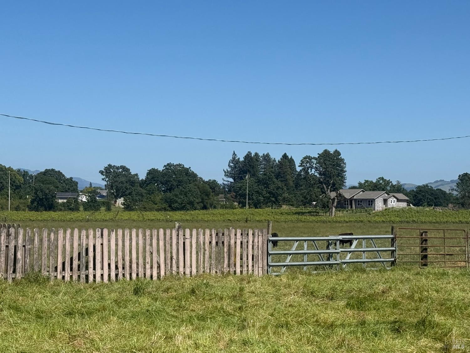 Property photo 31
